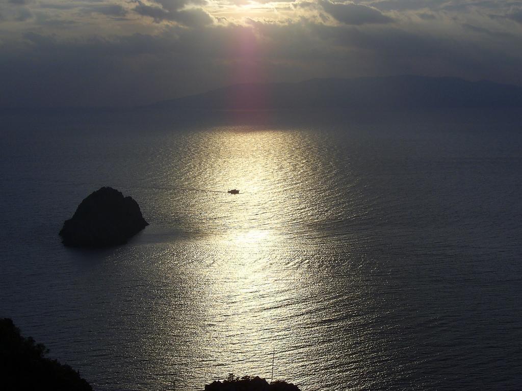 Sole